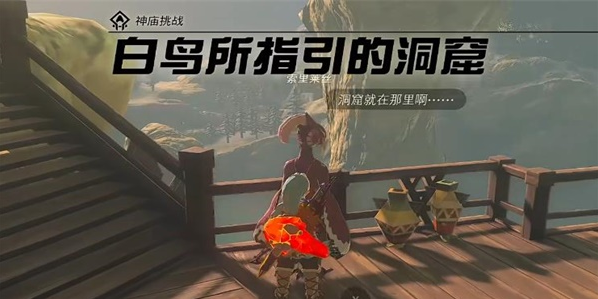 塞尔达传说王国之泪白鸟所指引的洞窟神庙在哪-通关攻略一览