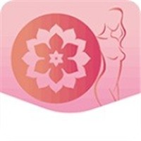 水果派轻量版安装包