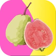 蘑菇视频隐藏线路版app下载大全