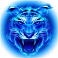 抖抈APP视频最新版