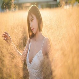 光着屁股打羞耻：心理剖析与社交影响深度探讨