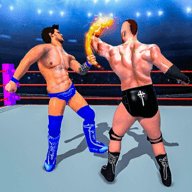 环斗摔跤3D(Ring combat: Wrestling Game 3D)无广告安卓游戏