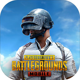 小威国体最新版本apk(鸟人助手)